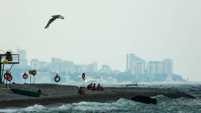 %D0%B4%D0%B8%D0%BA%D0%B8%D0%B9-%D0%BF%D0%BB%D1%8F%D0%B6-sochi-krasnodar-krai beach