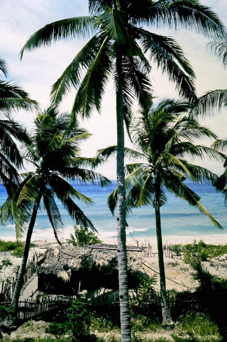talipanan-beach-udalo-oriental-mindoro beach