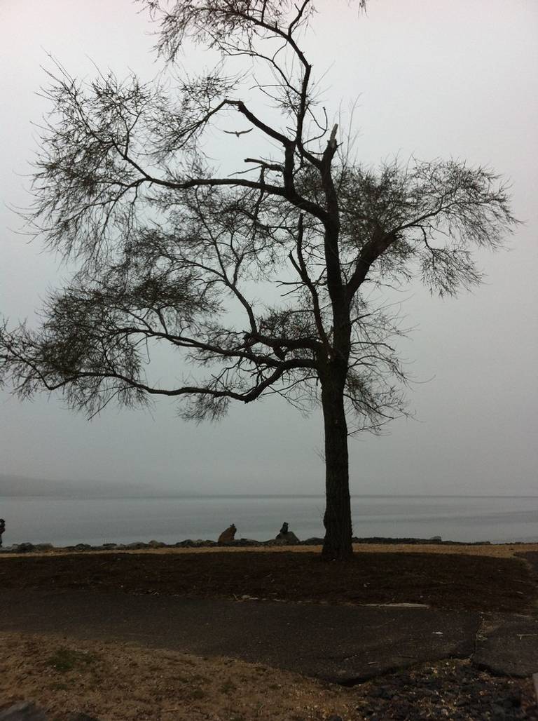 tappen-beach-sea-cliff-new-york beach