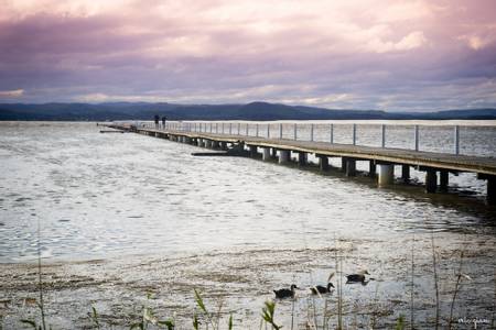 the-jetty-shell-cove-new-south-wales beach