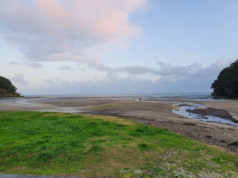 titirangi-beach-waitakere-ranges-auckland beach