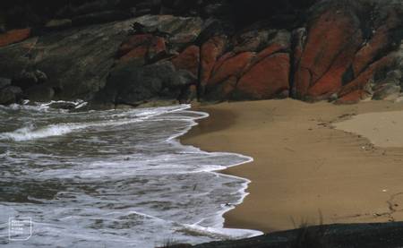 trousers-point-beach-loccota-tasmania beach