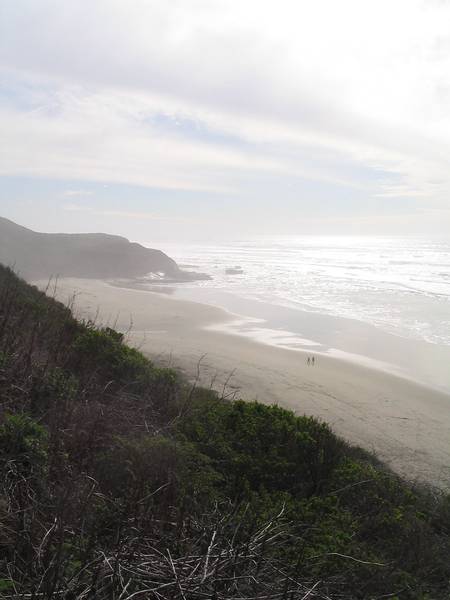 tunitas-beach-san-gregorio-california beach