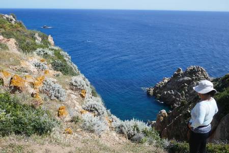 tuerredda-teulada-sardinia beach