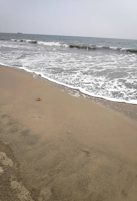 vypeen-beach-kochi-kerala beach