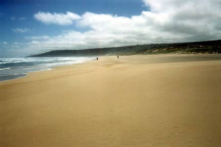 waitpinga-beach-waitpinga-south-australia beach