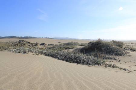 westport-union-landing-state-beach-hardy-california beach