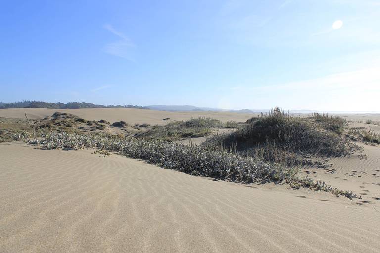 westport-union-landing-state-beach-westport-california beach