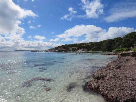 whalers-beach-albany-western-australia beach
