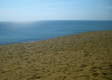 white-crest-beach-wellfleet-massachusetts beach