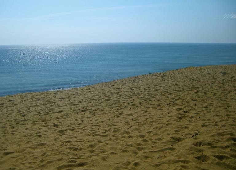 white-crest-beach-wellfleet-massachusetts beach