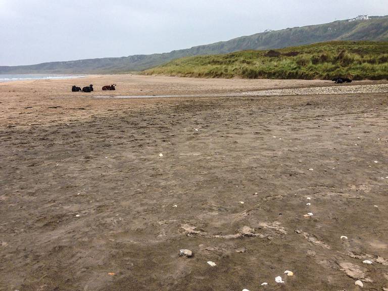 white-park-bay-portbradden-northern-ireland beach