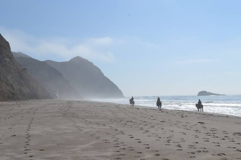 wildcat-beach-five-brooks-california beach