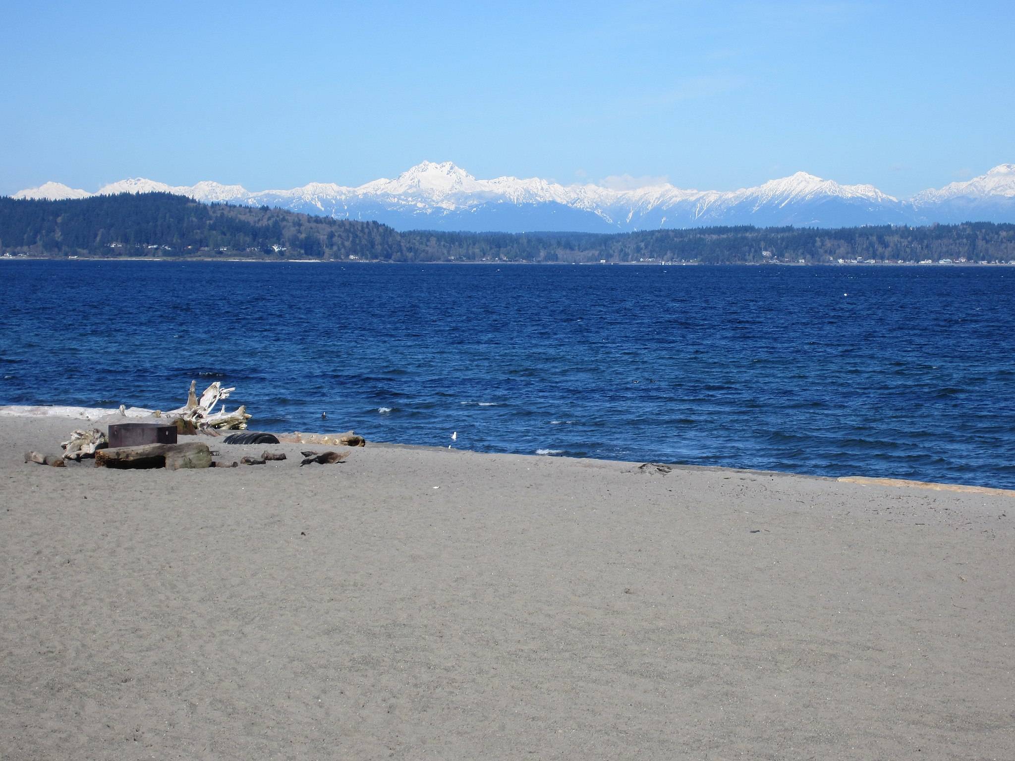 are dogs allowed at alki beach