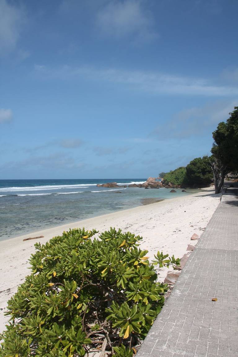 anse-banane-low-tide-wade beach