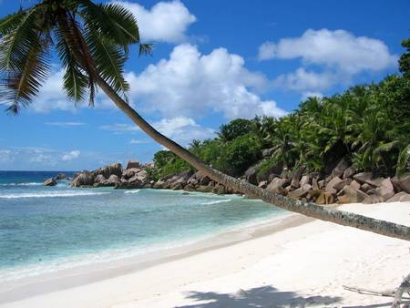 anse-cocos-jungle-trail-to-anse-cocos beach