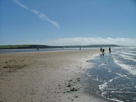 arthurstown-beach-county-wexford beach
