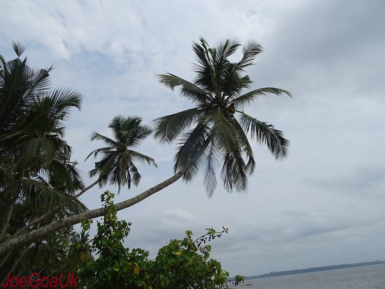 bambolim-beach-bambolim beach