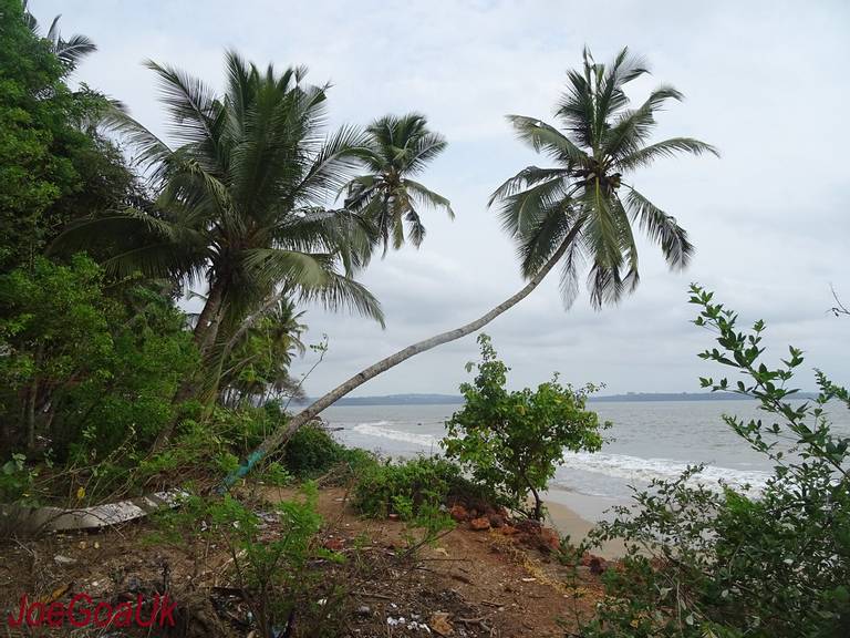 bambolim-beach-bambolim beach