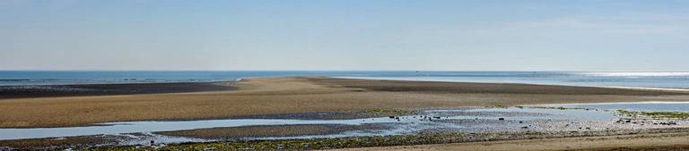 banc-de-bucheron-les-portes-en-re-nouvelle-aquitaine beach