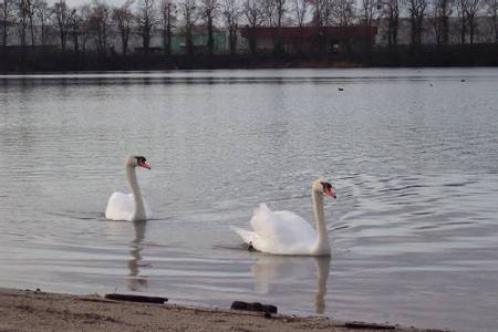 bagersee-strasbourg-grand-est beach