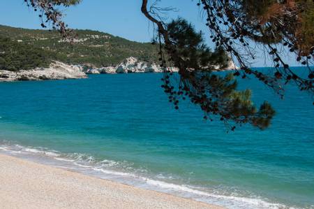 baia-di-campi-vieste-apulia beach