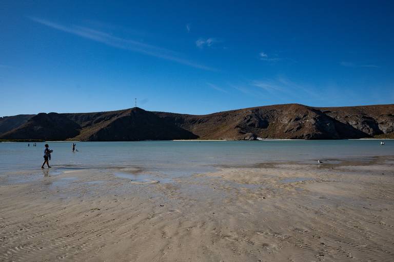 balandra-municipio-de-la-paz-baja-california-sur beach