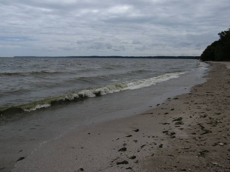 beach-brown-county-south-dakota beach