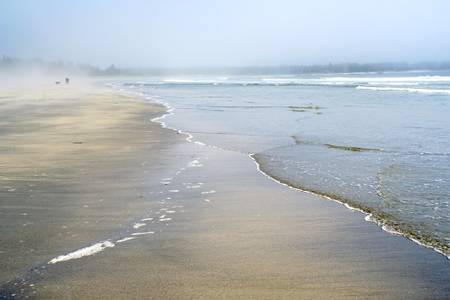 beach-meadows-beach-beach-meadows-nova-scotia beach