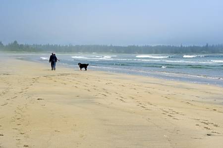 beach-meadows-beach-beach-meadows-nova-scotia beach