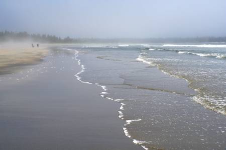 beach-meadows-beach-beach-meadows-nova-scotia beach