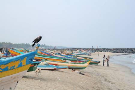 bodhi-beach-kotamedu-tamil-nadu beach