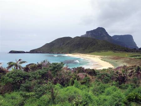 blinky-beach-lord-howe-island-new-south-wales beach