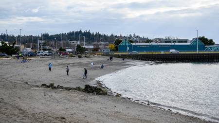 brackets-landing-edmonds-washington beach