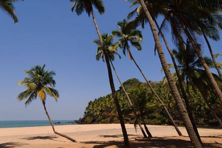 cabo-de-rama-beach-gaval-khol beach