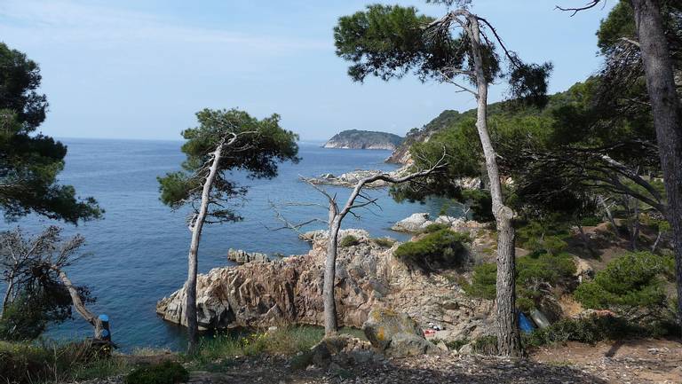 cala-canyers-calella-de-palafrugell-catalonia beach