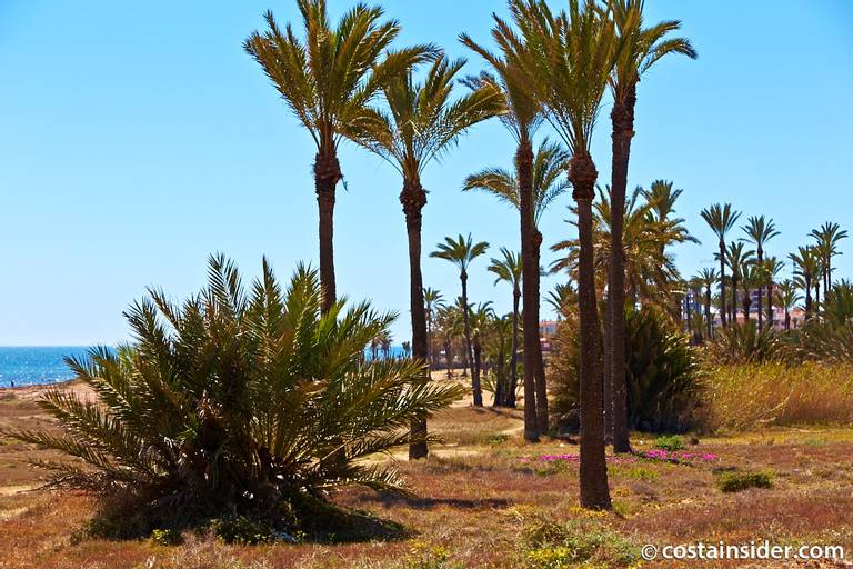 cala-de-lo-ferri-torrevieja-valencian-community beach