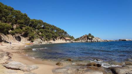 cala-del-cap-de-planes-calella-de-palafrugell-catalonia beach