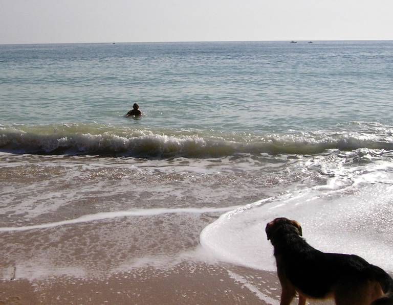 cala-del-r%C3%ADo-roche-conil-de-la-frontera-andalusia beach