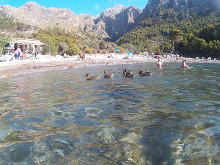 cala-tuent-escorca-balearic-islands beach