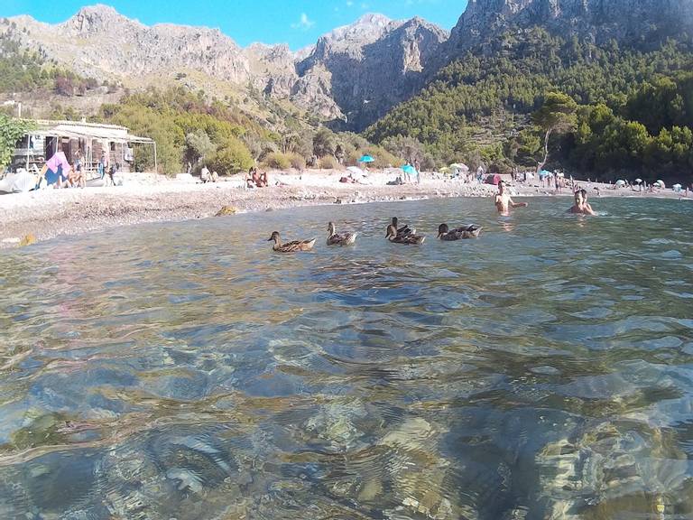 cala-tuent-escorca-balearic-islands beach