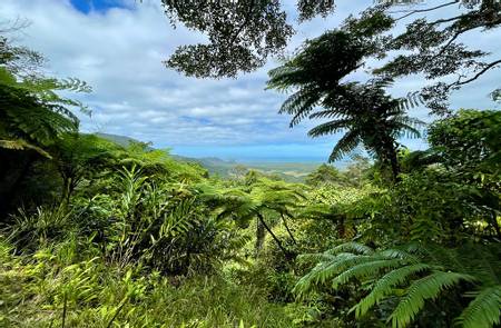 cape-kimberly-beach-kimberley-queensland beach