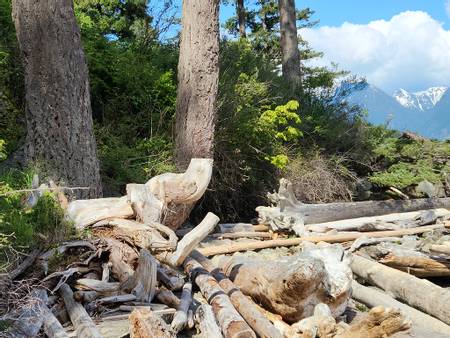 cates-bay-beach-bowen-island-municipality-british-columbia beach