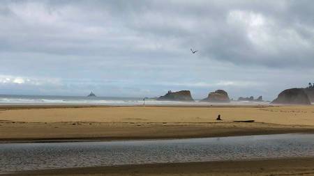 chapman-beach-cannon-beach-oregon beach