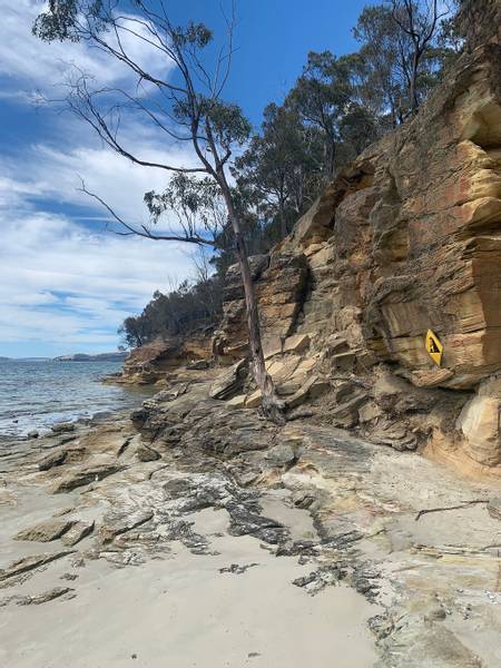 coningham-beach-hobart-tasmania beach