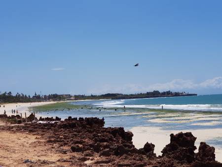 coco-beach-dar-es-salaam beach