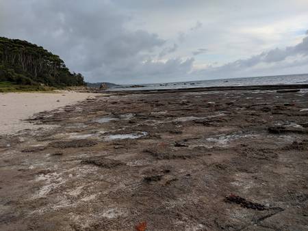 collers-beach-mollymook-new-south-wales beach