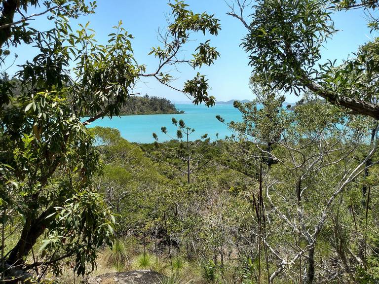 coral-beach-whitsundays-queensland beach