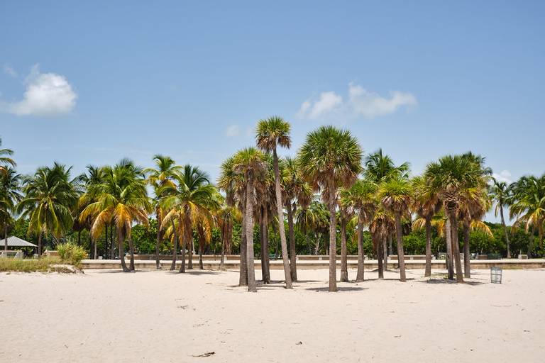 crandon-beach-key-biscayne-florida beach