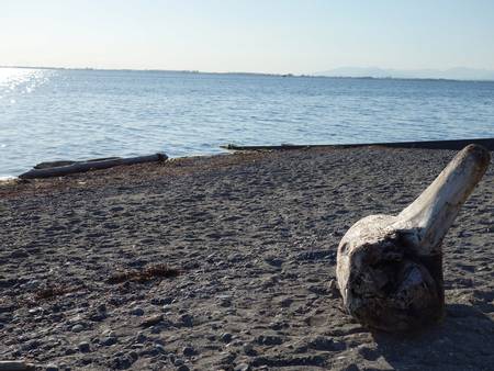 crescent-beach-sooke-british-columbia beach